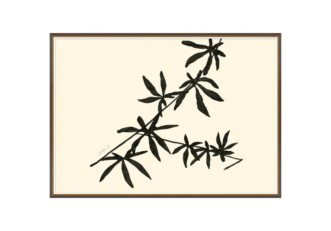 alicelanehome2352476