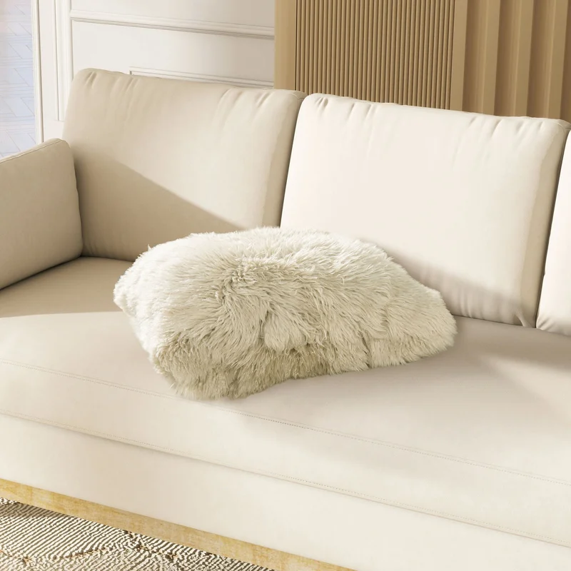 dreameehome2229946