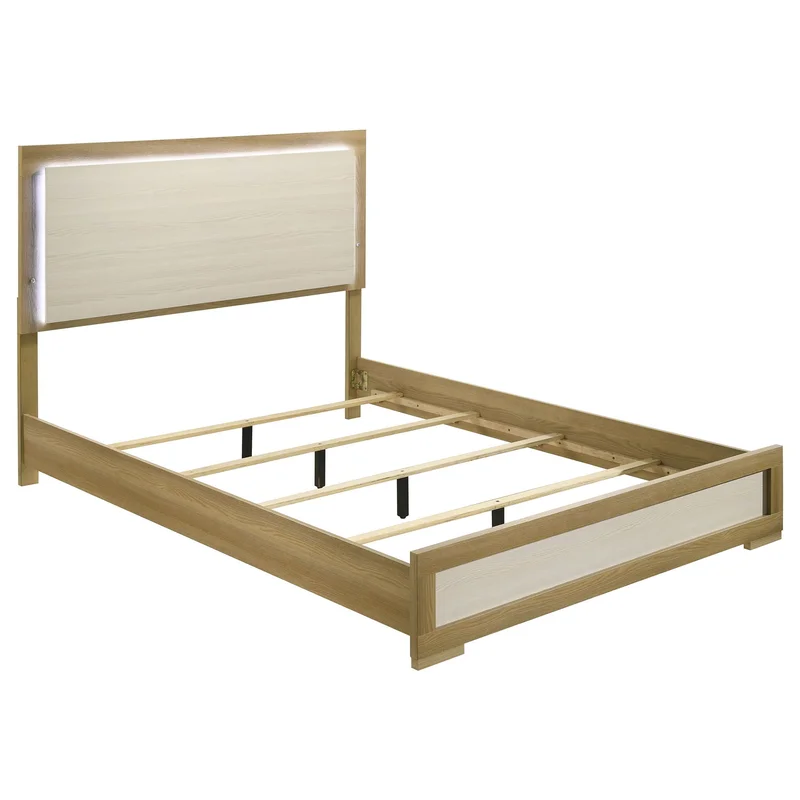 dreameehome3146769