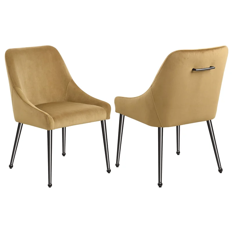 dreameehome3150794