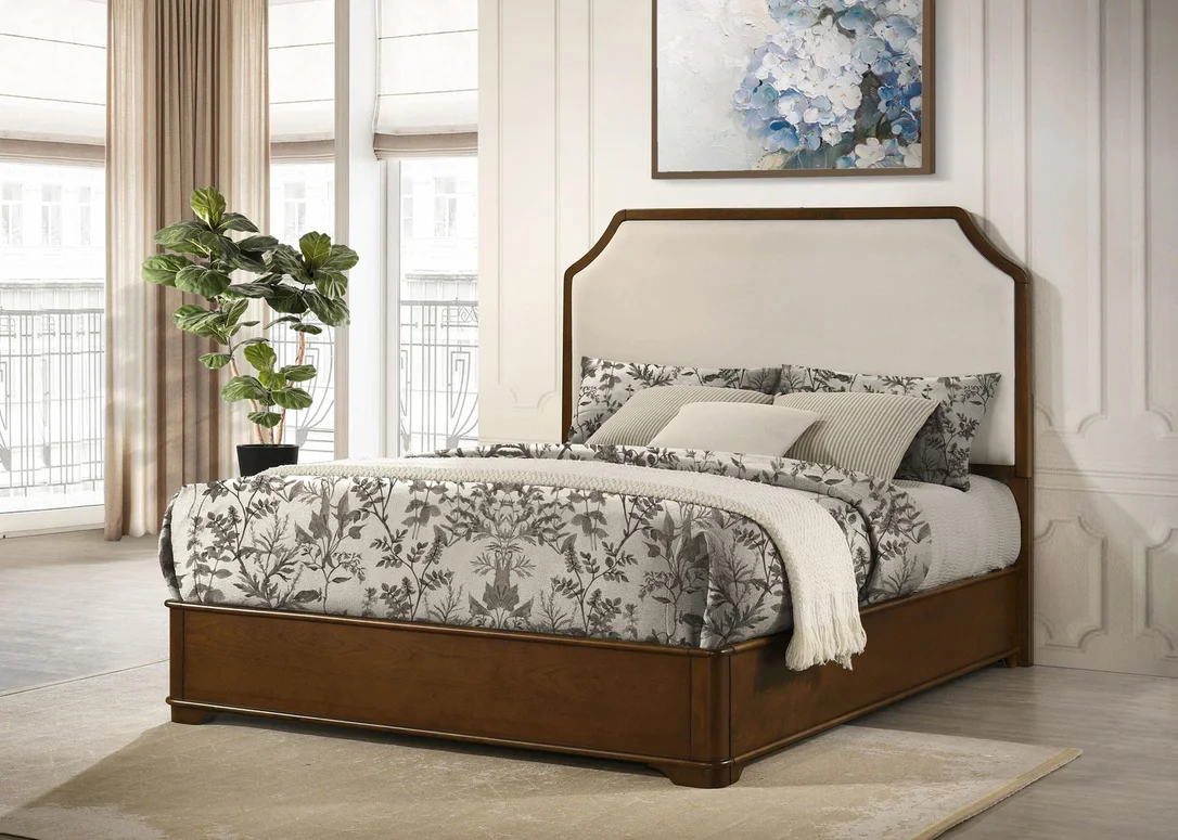 dreameehome3191232