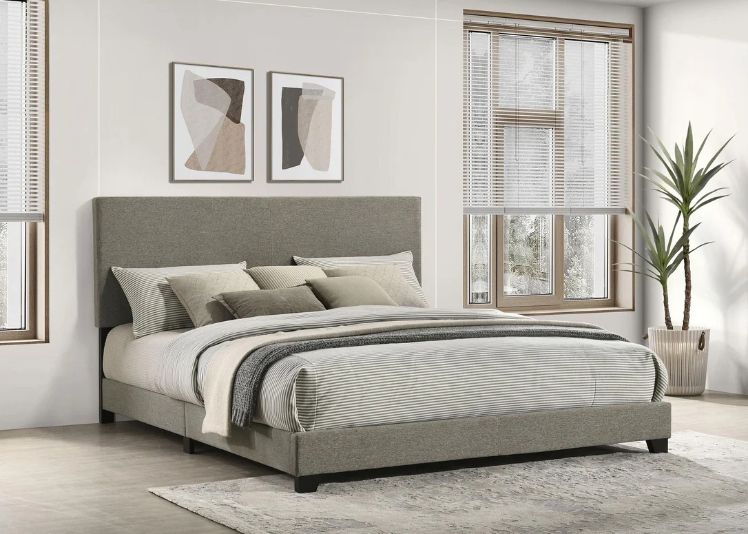 dreameehome3231829
