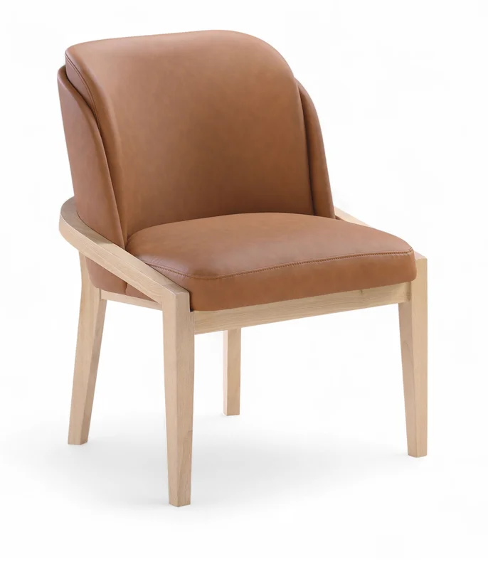 dreameehome4196478
