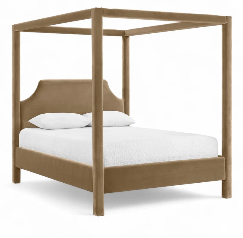 dreameehome4203985