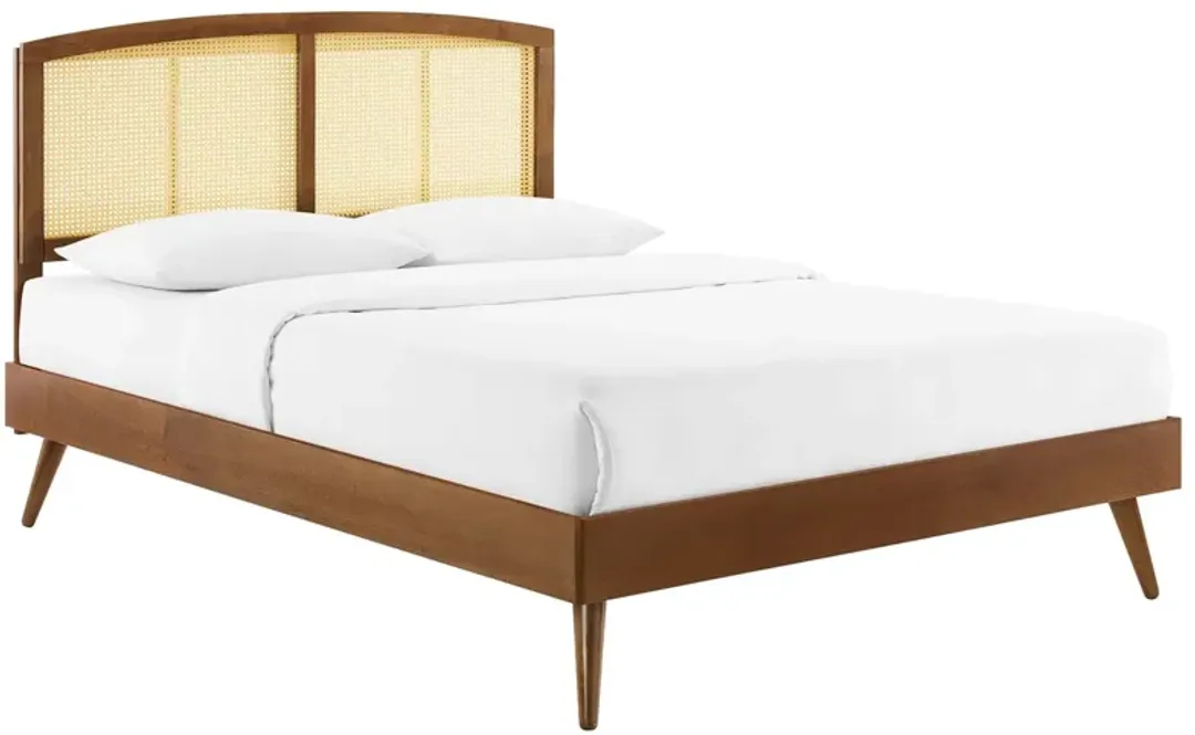 furniture1-309884