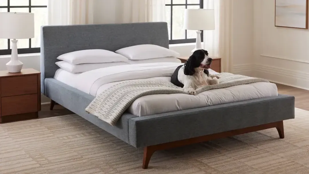 furniture4-488268