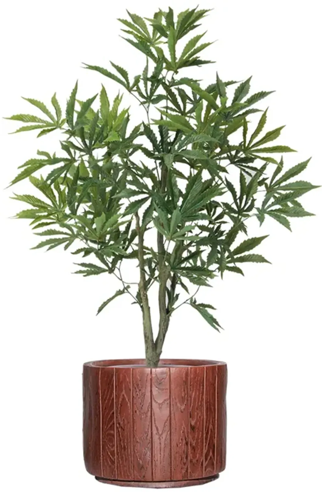 furniture4-526805