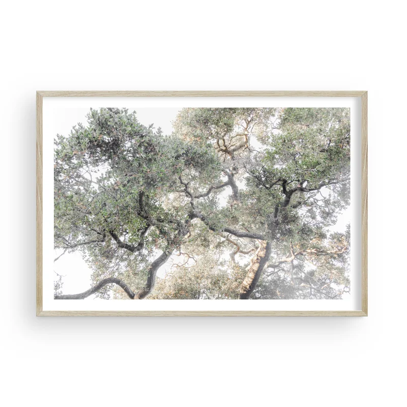 puresaltinteriors181030