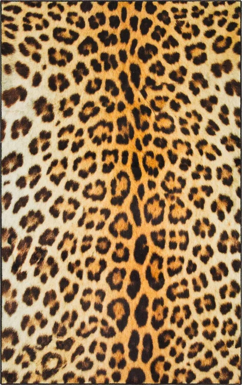 studiolx12-441050