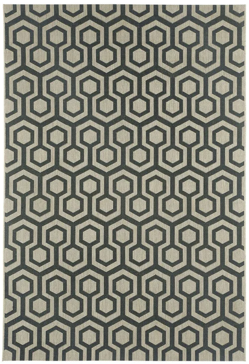 studiolx4-31480
