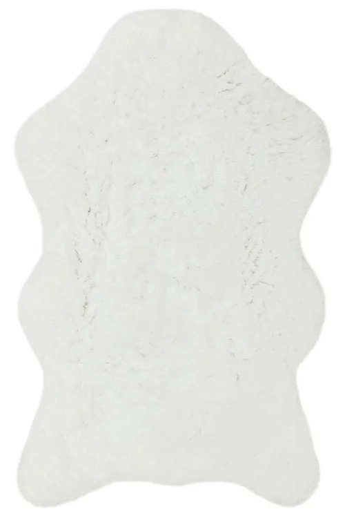 studiolx5-49320