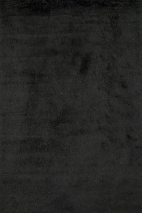 studiolx5-49874