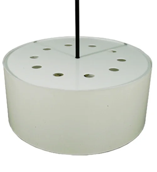 studiolx5-55983