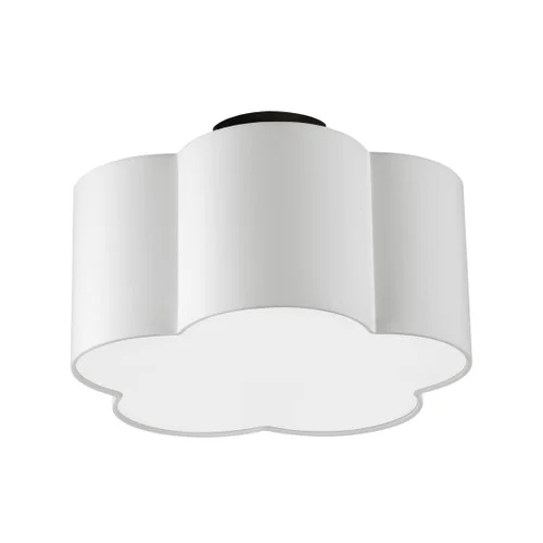 studiolx8-405398